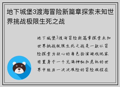 地下城堡3渡海冒险新篇章探索未知世界挑战极限生死之战